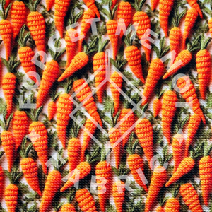 Embroidered Carrots, Bullet Fabric